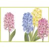 Caspari 5 Greeting Cards Notelets envelopes - Easter Cards - Hyacinth - 10 x 15 cm with easter greeting