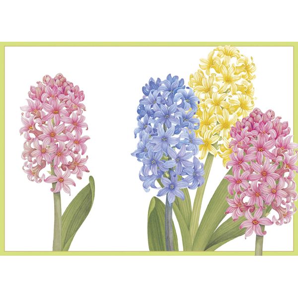 Caspari 5 Greeting Cards Notelets envelopes - Easter Cards - Hyacinth - 10 x 15 cm with easter greeting