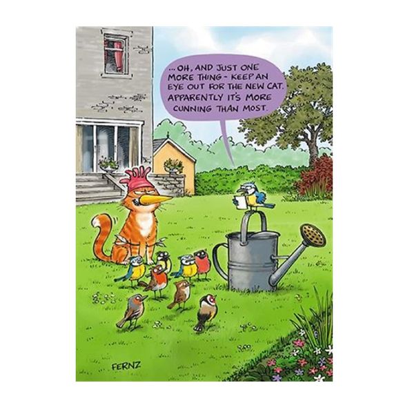 Humorous Greeting Card (PH6261) Birthday - New Cat - From The Animal Function Range.