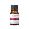 [Undiluted solution] Extract containing BHA derivative (salicin) 10ml Undiluted serum Tunemakers