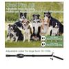 550 YD Remote Dog Training Shock Collar Waterproof for Small Medium Large Dogs
