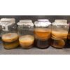 Organic kombucha scoby with Instructions and starter fluid