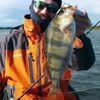 Molix Tragus Spin Tail 1/2 oz. Pearl White