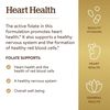 Solgar Folate 1333 mcg DFE Metafolin 800 mcg 100 Tablets