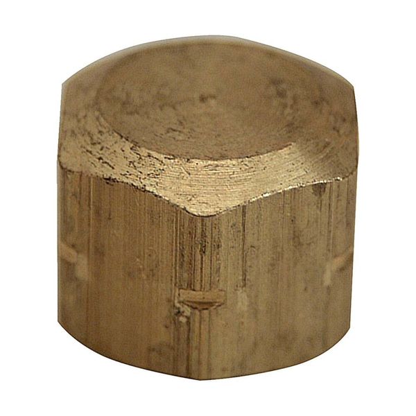 Thrifco 9316083 1/2 Inch FIP Brass Cap