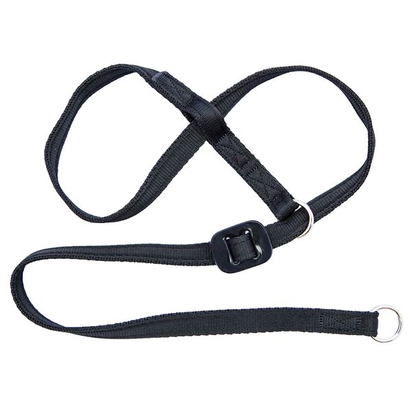 Gencon Medium Headcollar Right Black