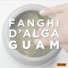 Guam Britannia Dren Plus Te Ve