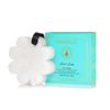 SPONGELLÉ Boxed Flower Shower Body Wash Infused Buffer, Beach Grass