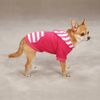 East Side Collection Polyester/Cotton Brite Stripe Dog Pullover, X-Small, 10-Inch, Raspberry