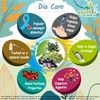 Dia Care Capsule