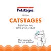 Catstages Squeak Squeak Mouse Plush Catnip Cat Toy