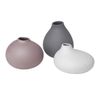 Blomus Vase-65971 Vase, Micro Chip, One Size