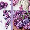 20 Napkins Lilac Collage Flowers Spring Summer 33 x 33 cm