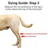 DOG REAR LEG HOCK BRACE,  DOG LEG JOINT WRAPS COMPRESSION PACK 2