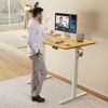 40" Natural Electric Height Adjustable Desk Home Office Standing Computer Table