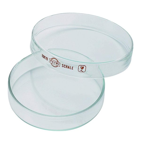 Niigata Seiki BeHAUS GS-90 Glass Petri Dish, Φ3.5 inches (90 mm), Made in Japan