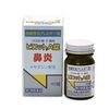 【第2類医薬品】ピロットA錠 40錠 ×2