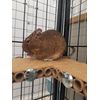 Totally Degu Corner Platform 2 Pack