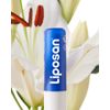 Liposan protect lab classic. Care white S/FP 5.
