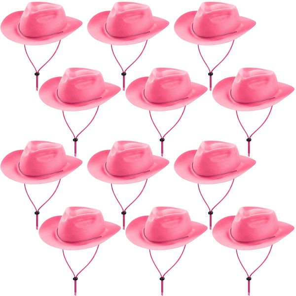 Hicarer 12 Pieces Western Cowboy Hat Set Plastic Felt Wide Brimmed Felt Cowgirl Party Hats for Men Women Adult Costume Party(Pink)