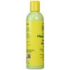 Jamaican Mango & Lime - Mango & Shea Butter Lotion - 236.57ml