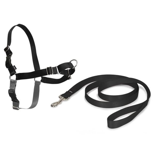 PETSAFE Pet Safe Easy Walk Dog Harness, Medium, Black