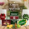Chandrika Ayurvedic Soap | Organic Bar with Vegetable Oil | 100% Natural for Men and Women | Vegan for All Skin Types | Handmade | Herbal Body Bars - 2.64 Oz | 4-Pack