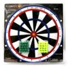 .68 Cal Paintball Target Practice System