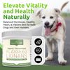 Lignans for Life Bulk Flaxseed Lignans