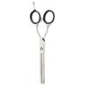 Aashta Hairdressing Scissors 5.5 Inches