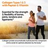 Doctors Best Type I and III Collagen Supplement 540 Count Nutritional Support