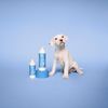 Paul Mitchell Pet Awaphi Shampoo 16.9 fl oz (500 ml)