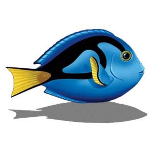 Blue Tang Porcelain Swimming Pool Mosaic (5" x 3")
