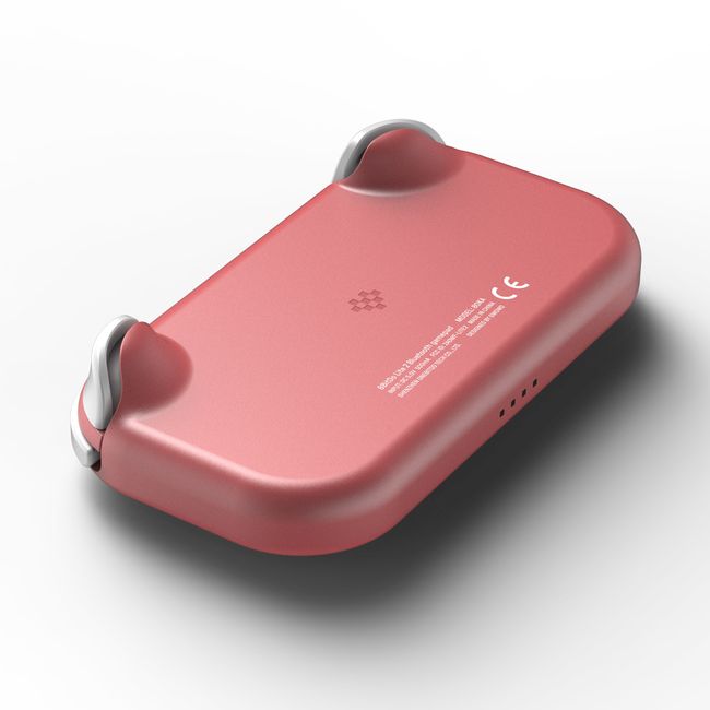 8Bitdo Lite 2 Bluetooth Gamepad for Nintendo Switch Lite Nintendo