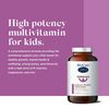 BioCare Children's Mindlinx Multinutrient - 150g