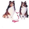 Adjustable Double Dog Leads - Medium - Step 3 Grey - Walk two dogs at once