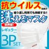 Washable Mask, Pleated Type, Set of 3, Regular Size, White