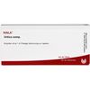 Urtica comp. Wala Ampullen, 10X1 ml AMP