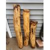 Rustic Wood Log, Post