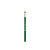 Eveline Automatic Eye Pencil With Sponge Eye Max Precision Green
