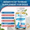 (2 Packs)Thyroid Supplement for Dog,Balanced Thyroid Function,Healt