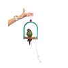 Polly's Hardwood Arch Swing for Birds, Small