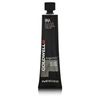 Topchic Permanent Hair Color GW 9NA 60 ml