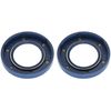 2 Drive Seals 7174-856-R compatible with Delphi DP200 Pumps