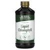 Liquid Chlorophyll, Spearmint, 16.54 fl oz (496 ml)