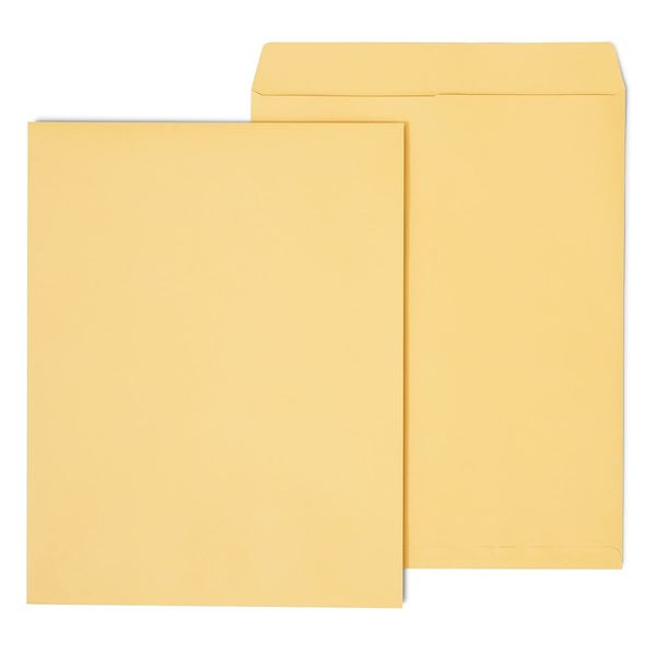 Staples 195776 14-Inch x 18-Inch Brown Kraft Ungummed Jumbo Catalog Envelopes 25/Box