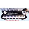 29 Keys, Piano Keyboard, Doremi Sticker, Music, Beginner, Self-taught, Lessons, Teaching Materials