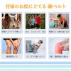 Knee Supporter, Sports, Knee Support, Strong, Fixed Compression Belt, Meniscus Damage, Side Ligament Damage, Joint Ligament Protection, Exercise, Running, Unisex (Black)