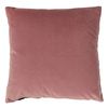 Paoletti Empire Cushion Cover, Blush/Navy, 45 x 45 cm