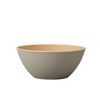 Cano Earth Color Antibacterial Bowl, Gray